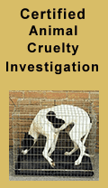 Animal Cruelty Investigation